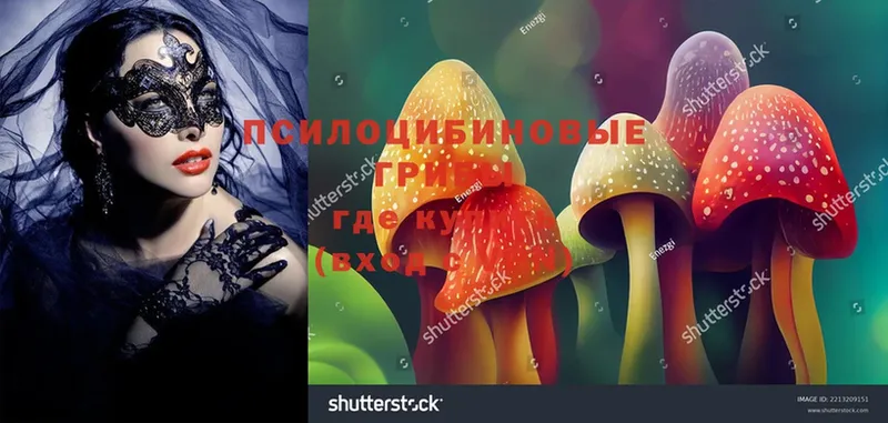 Псилоцибиновые грибы Magic Shrooms  Канаш 